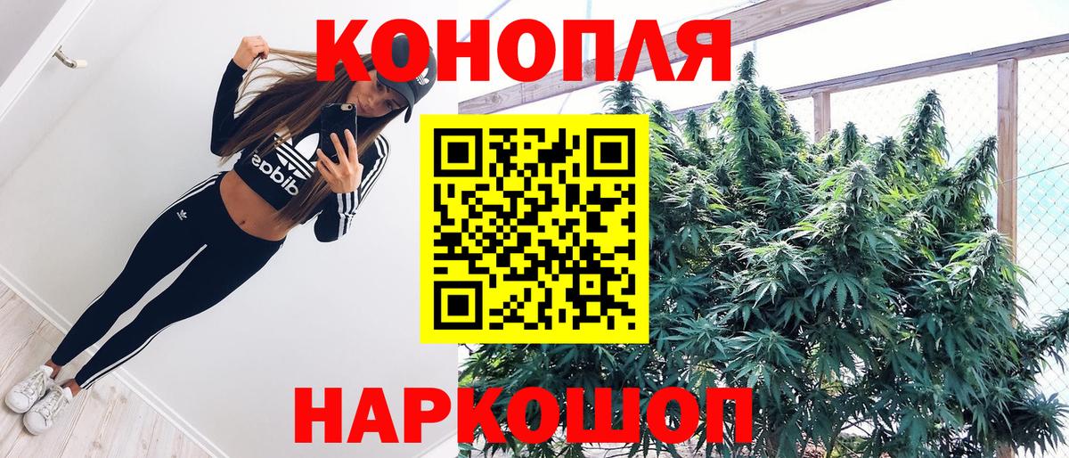 Канабис семена Алатырь